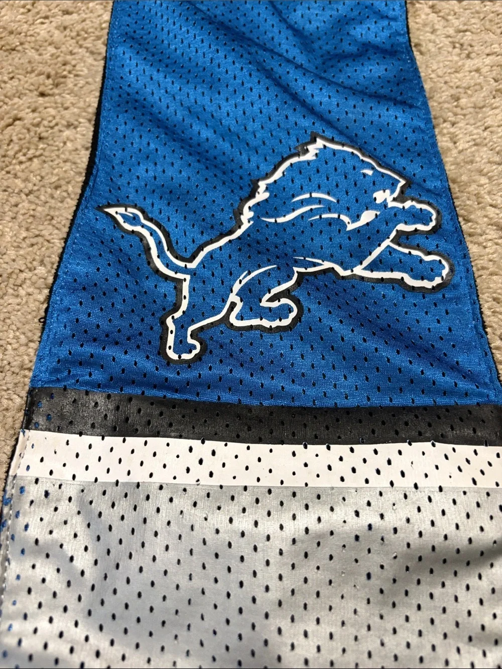 Detroit Lions Scarf with Inside Zippered pocket